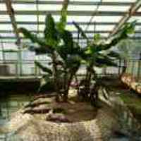 Bffd7598d88db125a71b556f5d77d8ab1103b16e