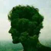 880f58c08f22fc7bfab2a25200a740874e6772bc