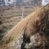 Fc4b5a36c622daf87b95e7f96ab6d1b0cfafbedb