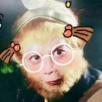 1969a69c75769d3e5a950693702a3d36b1d6712c