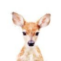 686a3a1af7563bded192fe6619d49f7f68fb0973