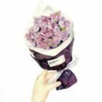 E3dd34f5e6b558dd81ef1bdf4207c7e133576e6e