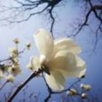 642f00ea7fff4c9fca74bf5301589d0936f4a638