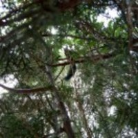 7b37abfead77632b6f05609fc6be70542397cad0