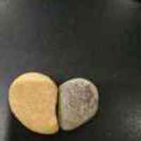 4e9a29293348b6eec44b13b919d83c408b3e0914