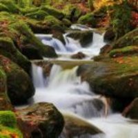 0699b63934ad77bf8e9814983cebfd28727cfb2e