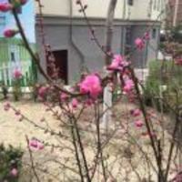 B8c2191d0d3540a05083e1fb11ba477d7ebcf1a0