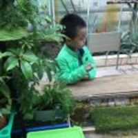 E53167b3a168587f6a8262ae8825592946d9792e