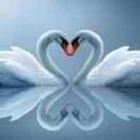 B2c33fc7e4896e81c55591217ab994333919e87a