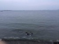 E1fb7a759de2995f7da8f6b8efae8c9e715420f7