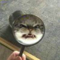 650b6ec5f172b45259d22ddfa4aa747de72eba01