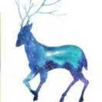 Db4de2c90ae18aebd606026dfb13489d50fb472a