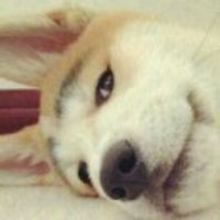 E3b6a1e61f830b1d91cfd2607f0745225e0d02be