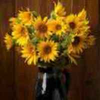 Bbbf3ce421cb6ab6b0869b86d66830bbaf378567