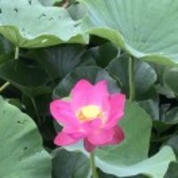 957730493cb3a7eb532955d6d221ceb617b4f438