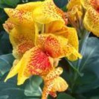 E92523091f3775dd7d4a9c69991b03f7390af82e