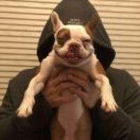 C0baac8bf2142dffc52502c09cfaf899f05ab202