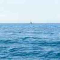 84844f0b5610fc01effd8fbcac5e1236f6bb49fd