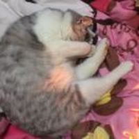 21b6d22736c8adea4fc026714092db70a05791b6