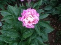 3551f520bad576d02d3743f178872817f1557fef