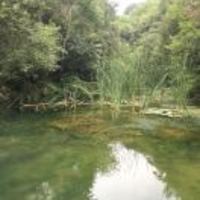 37549db052b62febb7640fcf44a280642e6b2c0b