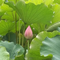 Eed69c5defe25d6df02f4052e70809f1b7b541b2