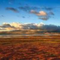 631f0e61b59f541de52d4025caea8ae01540ed45