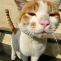 E52217ac61cab0e9f19fe54a7ae6c8fb2cbddcae