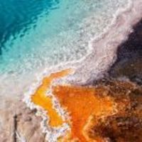 131ffcc69564e8356c8aae24d6570b684adf390f