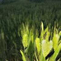 6f3c1da4a7bbfed9628cd2df3f03f4e3fea9fbd2