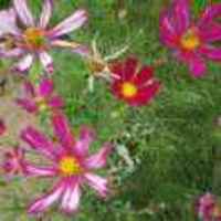 27f589fcb5fae9afe3c57412abda9dc87bce3b1f