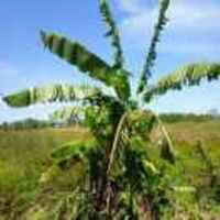 9d62e3bcc7a95519bdad706ee078a846181cb0e0