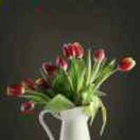 05afbf15a2a794d06081f75ef305f2e3c89d2794