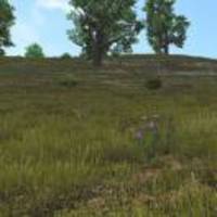 E12a79fc6c8af3474b658d8a8208a0cadf2917b5