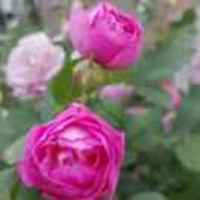 196222ab81f2543cb208b3bf63343043488a927a