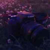 11957bb881603a6198b33f5cafda3b3e4e6da955