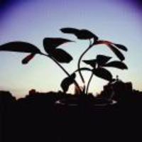 8b8c492a343202bd2830e7579c2cb2edbb3c14a0