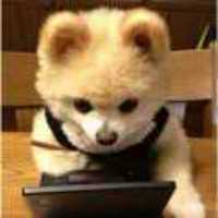 C3461984cf041d6fac03c93ef38354ca450250c3