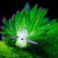 E4846f24f840379bf12d2e2dc5d24cbe32f9c428