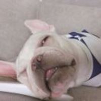 5f93c93d0681bc39d544bff6569f9688bb9f8c27