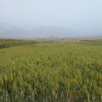 4f4e8384f2f7f93202c0c0e68b85c60dd308ffc1