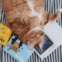 28708b9e7a79691228d2581dcfb7841e195e8a85