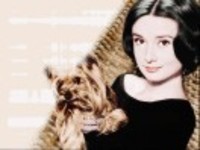 6c52cb51c4e59d45fc4a9dc514162f6e3771f889