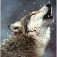 1c0a0a446124b19f734db3d4cd4af63d073afaf4