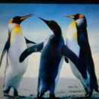 C83eff06b2c8683673c8a2beee8f21408db76626