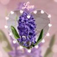 6acf0d3ec6c0b27f5bc3870c724dbc194edb81c4