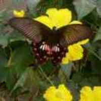 172f72db331dd38086d54a1a71ecf641e4abbf8d