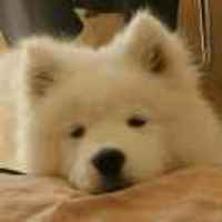 6badb95ecdd8fda949f6be60a0834de0fda24c84