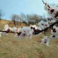 Ae83a0ae802630484f1d63d8a5edf54e56b1b212