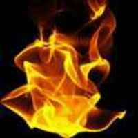 C116034a1a220828b87bc1a9dfed50dd985a5d53